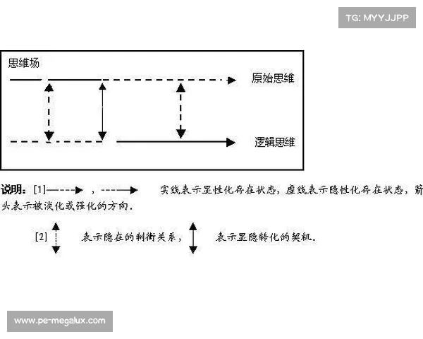 失明对创造力与感知能力的深刻影响及其如何激发独特的思维方式