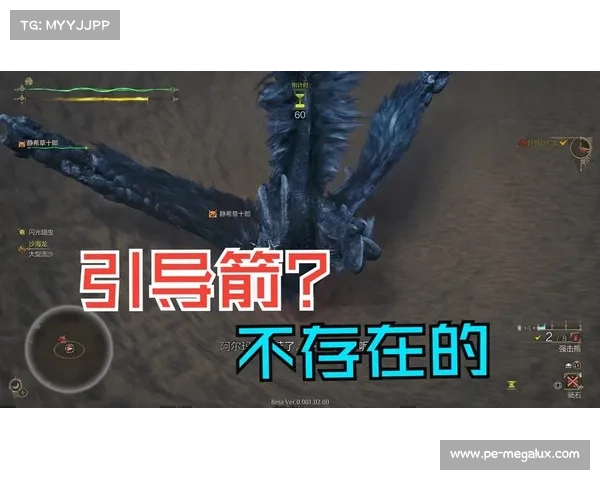 怪物猎人2G弓箭装备搭配全解析提升狩猎效率的最佳方案