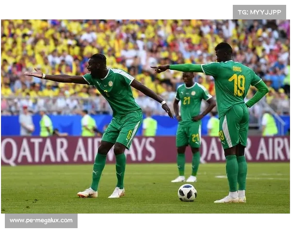 北美洲主要杯赛盘点及其历史与影响力分析