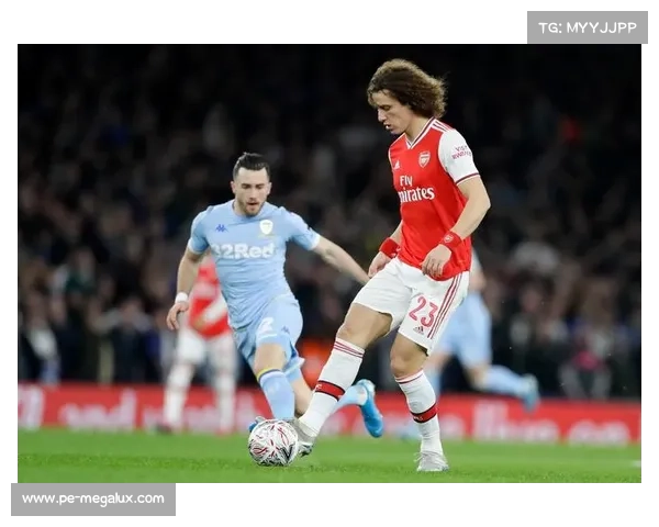 从战术定位与竞技状态双重角度分析大卫路易斯无缘入选国家队的原因