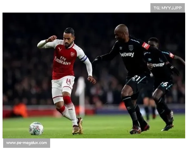 以维尔贝克的逆袭人生从绿茵少年到人称黑贝的荣耀蜕变