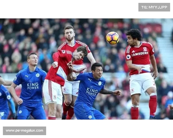 加的夫城足球俱乐部历程与英格兰联赛表现详细分析