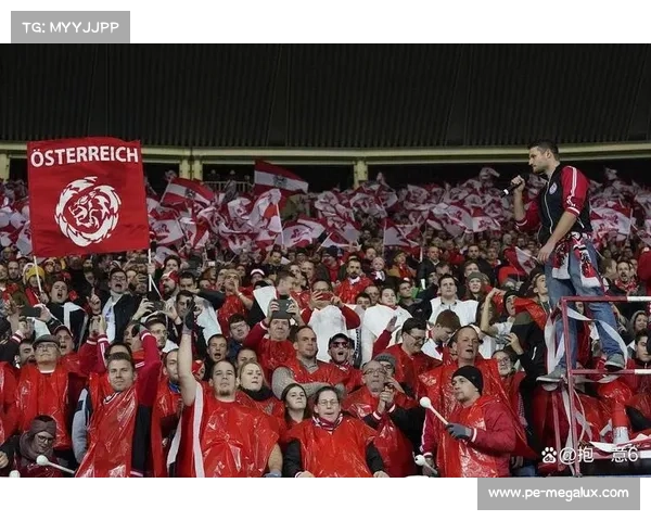 拜仁足球俱乐部戴尔能力在未来发展中的关键作用与影响分析