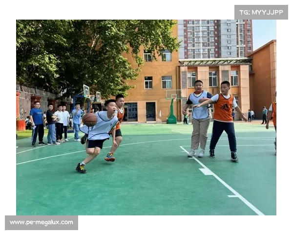 提升篮球体育道德与公平竞争意识推动行业标准化发展